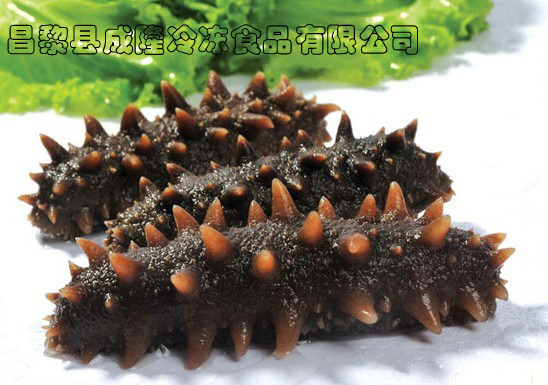 �̅������̺�����