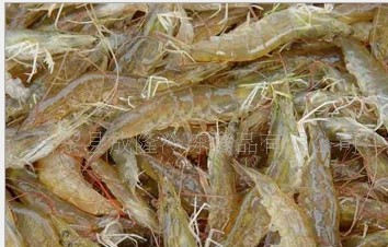 �|���rԭ�������rԭ��