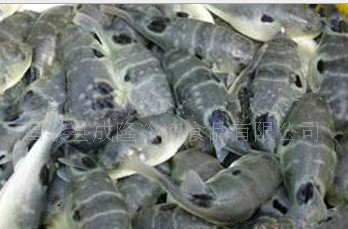 �t���|����